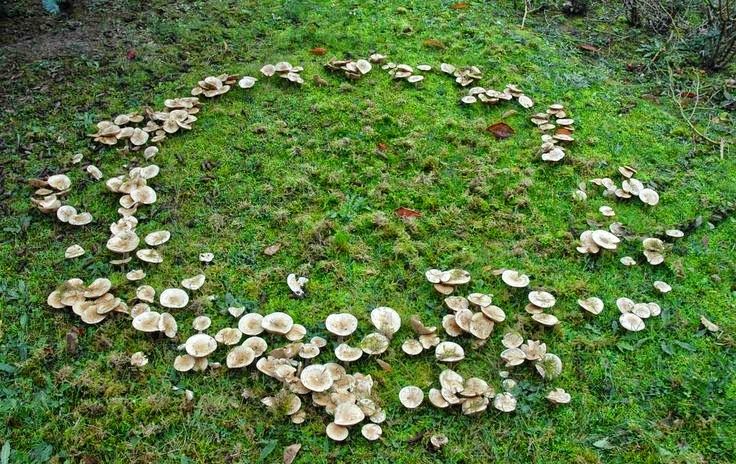 Episode 1 - Is the Moon an Egg?