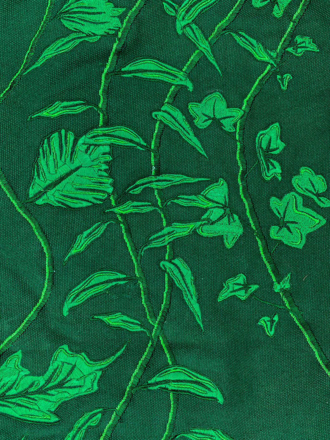 Kooky Foliage Print 2